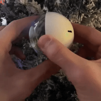 Memory Orb